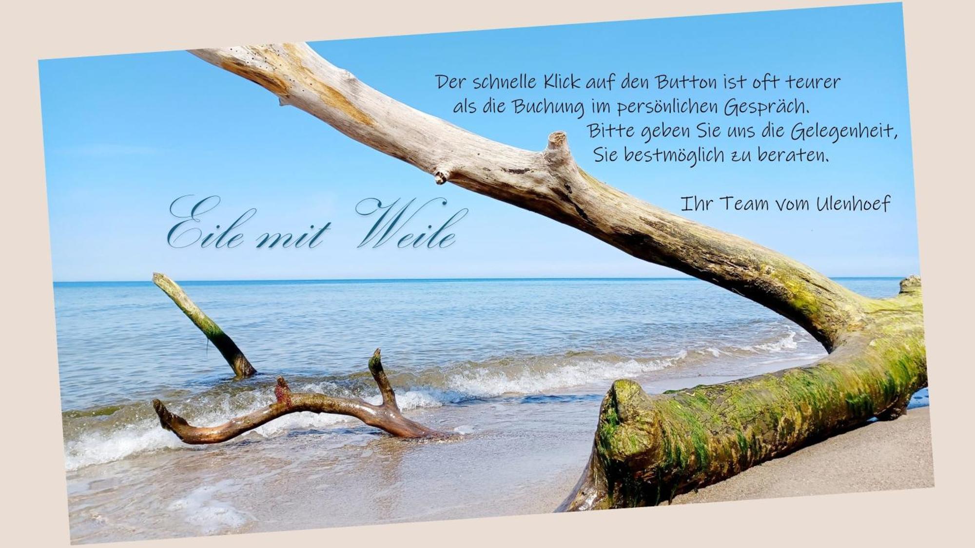 Fewo Weide - Ulenhoef Prerow Luaran gambar